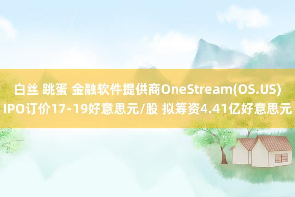 白丝 跳蛋 金融软件提供商OneStream(OS.US)IPO订价17-19好意思元/股 拟筹资4.41亿好意思元