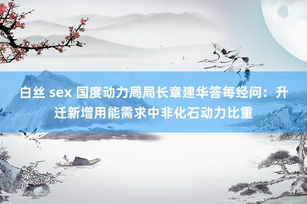 白丝 sex 国度动力局局长章建华答每经问：升迁新增用能需求中非化石动力比重