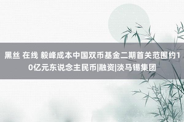 黑丝 在线 毅峰成本中国双币基金二期首关范围约10亿元东说念主民币|融资|淡马锡集团