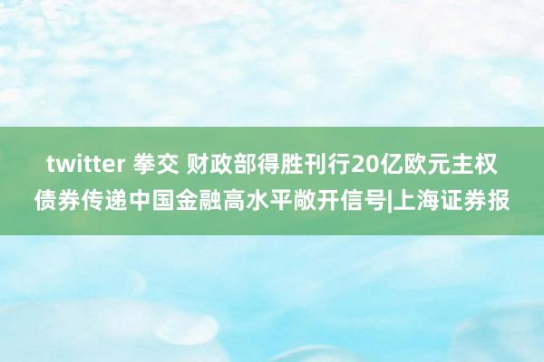 twitter 拳交 财政部得胜刊行20亿欧元主权债券传递中国金融高水平敞开信号|上海证券报