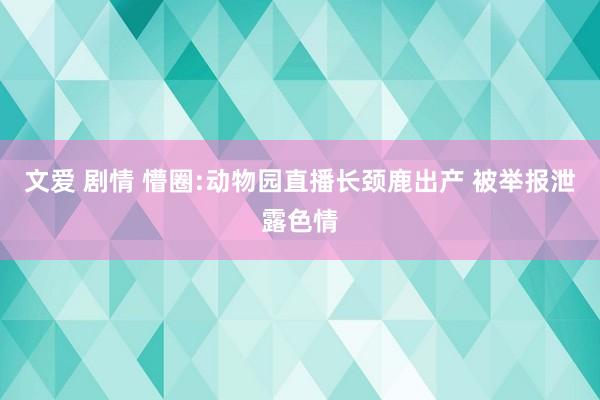 文爱 剧情 懵圈:动物园直播长颈鹿出产 被举报泄露色情