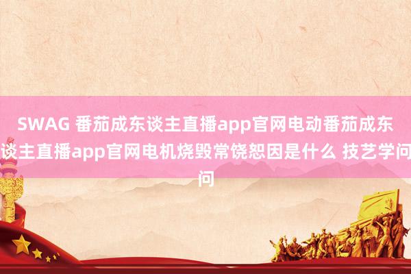 SWAG 番茄成东谈主直播app官网电动番茄成东谈主直播app官网电机烧毁常饶恕因是什么 技艺学问